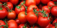 TOMATEN KLASSE A MIDDEL KIST 6 KG